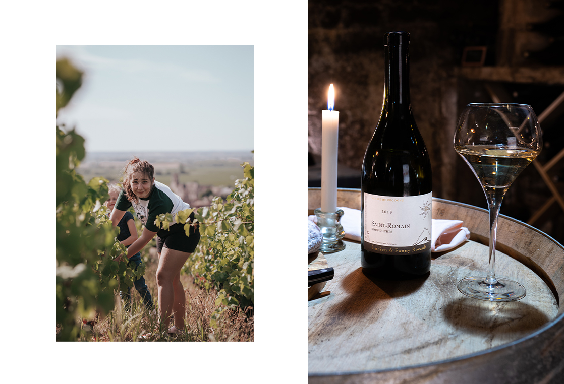 SaintRomain « Sous Roches » blanc Domaine Rocault